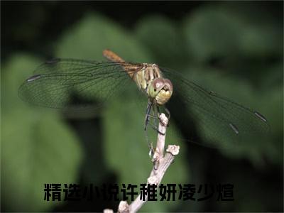 男女主人公叫许稚妍凌少煊的小说许稚妍凌少煊免费在线