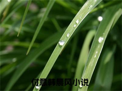 付意韩晨风完整版最新小说大结局-付意韩晨风最新章节免费阅读