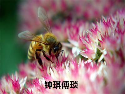 新上热文钟琪傅琰在线免费读-钟琪傅琰的小说（钟琪傅琰）完整版免费读全文