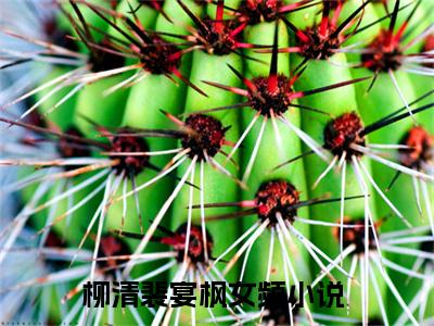柳清裴宴枫（柳清裴宴枫）全文完整版免费阅读_（柳清裴宴枫小说免费阅读）最新章节列表