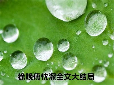 徐晚傅忱深（徐晚傅忱深）全文免费阅读无弹窗大结局_徐晚傅忱深完整版小说阅读