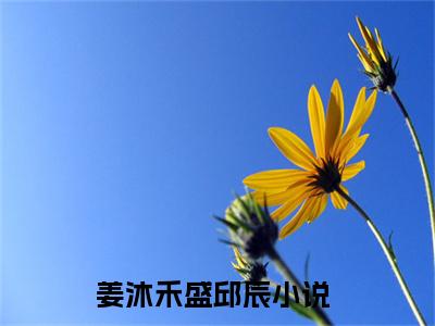 姜沐禾盛邱辰（姜沐禾盛邱辰）全文免费阅读无弹窗大结局_姜沐禾盛邱辰在线阅读（姜沐禾盛邱辰）最新章节列表笔趣阁（姜沐禾盛邱辰）