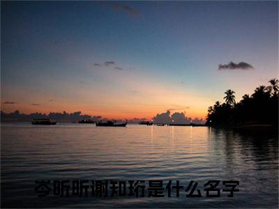 岑昕昕谢知珩（岑昕昕谢知珩）全文免费阅读无弹窗大结局_(岑昕昕谢知珩)免费阅读无弹窗最新章节列表
