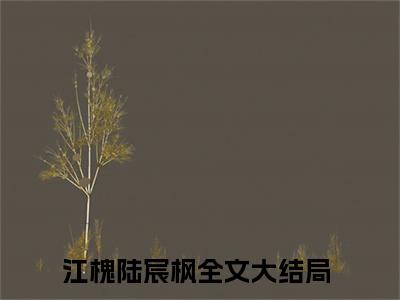 江槐陆宸枫（江槐陆宸枫）全文免费阅读大结局-（江槐陆宸枫）最新章节阅读