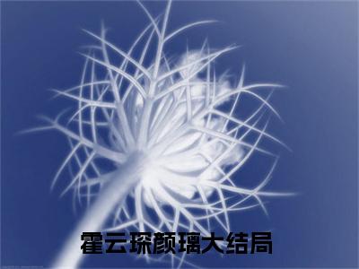 总裁，夫人又花你的钱养小鲜肉了（总裁，夫人又花你的钱养小鲜肉了）全文免费阅读无弹窗_霍云琛颜璃全文免费阅读最新章节大结局