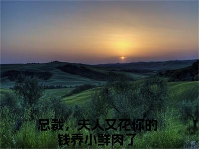 总裁，夫人又花你的钱养小鲜肉了（霍云琛颜璃）免费小说-霍云琛颜璃全文在线阅读