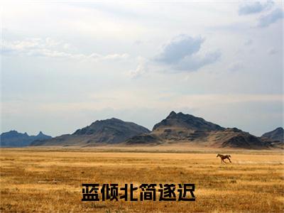 蓝倾北简遂迟小说（蓝倾北简遂迟）全文免费阅读无弹窗_蓝倾北简遂迟全文免费阅读无弹窗最新章节列表笔趣阁