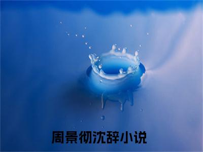 周景彻沈辞小说小说全文免费阅读（周景彻沈辞）全文免费周景彻沈辞读无弹窗大结局
