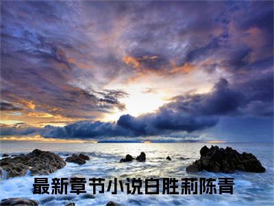 白胜莉陈青全网首发最新小说-白胜莉陈青全文在线免费阅读