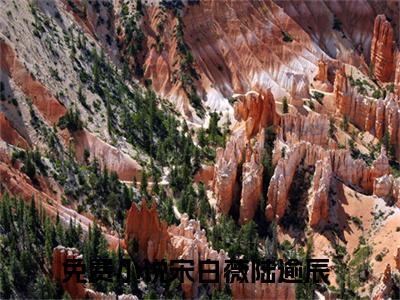 宋白薇陆逾辰在线阅读（宋白薇陆逾辰）全文免费阅读无弹窗大结局_宋白薇陆逾辰精选免费小说