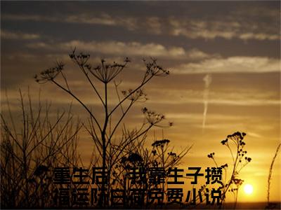 重生后，我靠生子攒福运阮白荷（重生后，我靠生子攒福运阮白荷）微小说-重生后，我靠生子攒福运阮白荷最新章节免费阅读