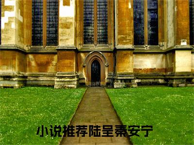 陆呈秦安宁无删减（陆呈秦安宁）全文免费阅读无弹窗大结局_陆呈秦安宁最新章节列表（陆呈秦安宁）