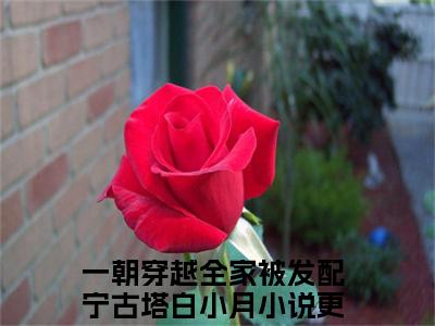 一朝穿越全家被发配宁古塔白小月小说免费阅读 一朝穿越全家被发配宁古塔白小月免费阅读无广告