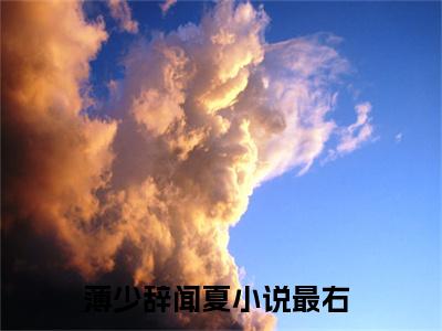 薄少辞闻夏免费阅读（薄少辞闻夏）全文免费阅读无弹窗大结局_薄少辞闻夏免费阅读最新章节列表_笔趣阁