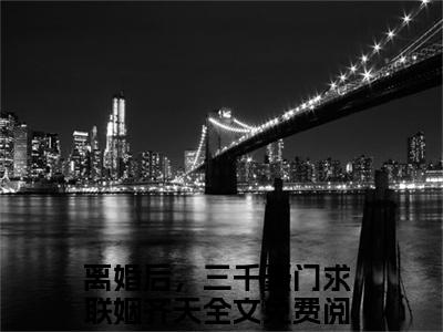 离婚后，三千豪门求联姻齐天宝藏小说推荐离婚后，三千豪门求联姻齐天-离婚后，三千豪门求联姻齐天完整免费阅读小说