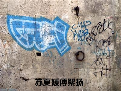 苏夏媛傅絮扬小说大结局免费阅读，苏夏媛傅絮扬抖音新上热文分享