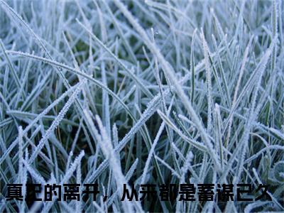 周祈光温以霁为周祈光温以霁的小说叫什么-最新小说真正的离开，从来都是蓄谋已久全文阅读