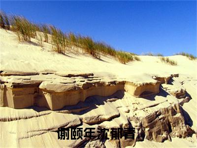 百分爆评热文谢颐年沈郁青_谢颐年沈郁青小说无弹窗在线阅读