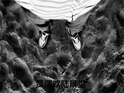 贺清欢陆景尘小说（贺清欢陆景尘）完整版全文在线赏析-小说贺清欢陆景尘全文大结局已完结