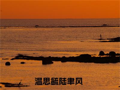 温思毓陆聿风（温思毓陆聿风）全文免费阅读无弹窗大结局_（温思毓陆聿风）温思毓陆聿风最新章节列表_笔趣阁（温思毓陆聿风）