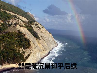 舒意陆沉景抖音完结版阅读《舒意陆沉景抖音》最新章节目录好书推荐_(舒意陆沉景)