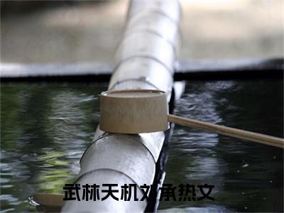 武林天机刘承免费阅读结局武林天机刘承无弹窗全本免费阅读