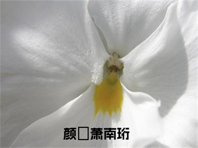 精选好书（颜婳萧南珩），颜婳萧南珩全文无删减版在线阅读