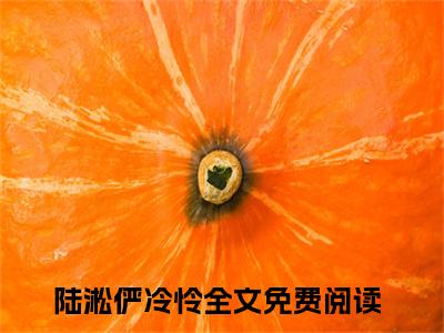 全网热搜（陆淞俨冷怜）是什么小说_主角是（陆淞俨冷怜）的小说（陆淞俨冷怜）最新章节无弹窗阅读