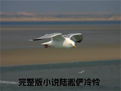 陆淞俨冷怜抖音近期热门小说-陆淞俨冷怜完结版在线阅读