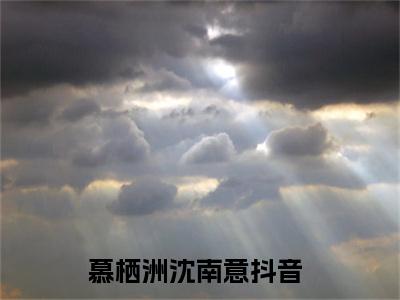 慕栖洲沈南意小说小说全文免费阅读（慕栖洲沈南意）全文免费慕栖洲沈南意读无弹窗大结局