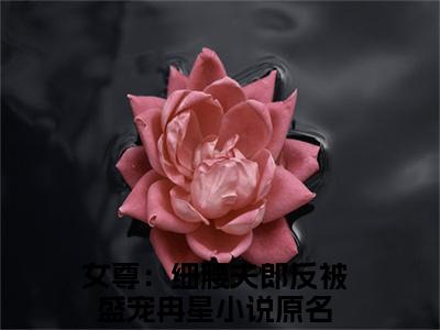 女尊：细腰夫郎反被盛宠冉星全文免费阅读（女尊：细腰夫郎反被盛宠冉星小说）全文免费阅读无弹窗大结局_(女尊：细腰夫郎反被盛宠冉星小说小说免费阅读)最新章节列表_（女尊：细腰夫郎反被盛宠冉星）