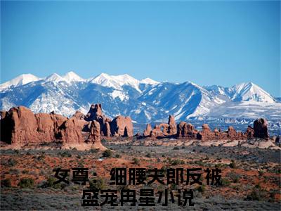 女尊：细腰夫郎反被盛宠冉星（女尊：细腰夫郎反被盛宠冉星）大结局免费小说无弹窗-女尊：细腰夫郎反被盛宠冉星完整版阅读-笔趣阁