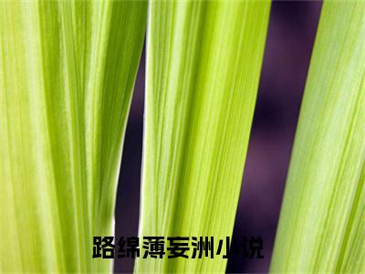 路绵薄妄洲大结局无广告 热门小说路绵薄妄洲全集免费阅读