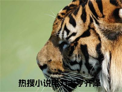 电力大亨齐泽小说免费大结局电力大亨齐泽里全文免费阅读