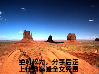（绝对权力，分手后走上仕途巅峰）全文免费阅读无弹窗大结局-关之峰小说最新章节列表
