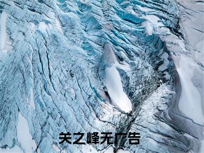 关之峰绝对权力，分手后走上仕途巅峰完整全文在线阅读关之峰全文大结局阅读无弹窗