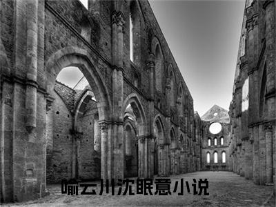 喻云川沈眠意全文免费在线阅读_（喻云川沈眠意免费阅读无弹窗）喻云川沈眠意全文免费完结版阅读