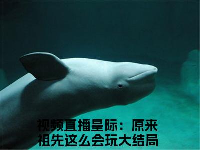 视频直播星际：原来祖先这么会玩（祝欢）全文免费阅读无弹窗大结局_视频直播星际：原来祖先这么会玩（祝欢免费小说）最新章节列表笔趣阁