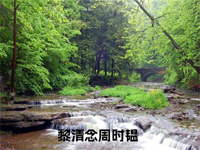 黎清念周时韫热门小说在哪免费看-小说（黎清念周时韫）完整版全文在线赏析