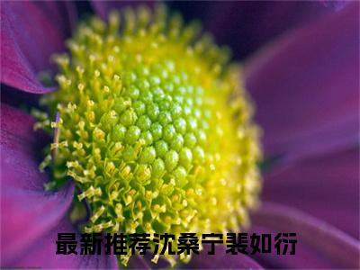 沈桑宁裴如衍全网首发小说-沈桑宁裴如衍无广告免费试读