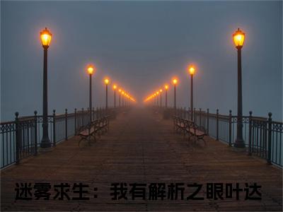 迷雾求生：我有解析之眼叶达小说免费阅读-热点小说榜单推荐迷雾求生：我有解析之眼叶达