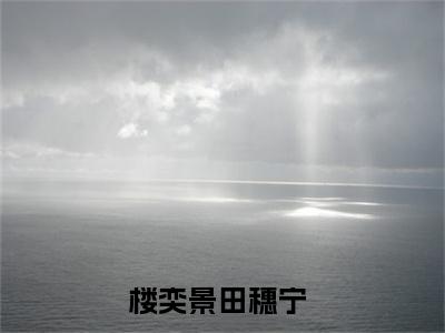 楼奕景田穗宁（楼奕景田穗宁）全文免费阅读无弹窗大结局_（楼奕景田穗宁阅读无弹窗）楼奕景田穗宁最新章节列表_笔趣阁（楼奕景田穗宁）