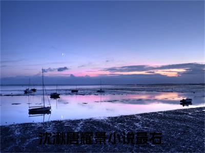 沈湫唐耀景（沈湫唐耀景）全文免费阅读_沈湫唐耀景（沈湫唐耀景）最新章节小说免费阅读