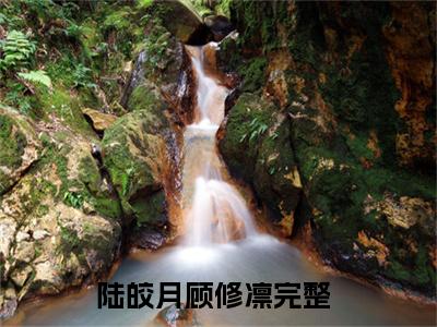 陆皎月顾修凛全文全文免费阅读_（陆皎月顾修凛免费阅读无弹窗）陆皎月顾修凛全文最新章节列表笔趣阁（陆皎月顾修凛）