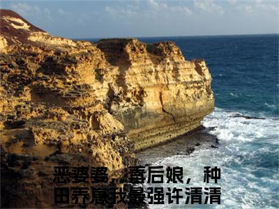 小说免费阅读-抖音新书热荐恶婆婆，毒后娘，种田养崽我最强许清清