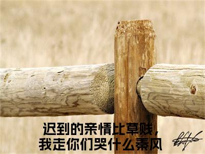 迟到的亲情比草贱，我走你们哭什么秦风（迟到的亲情比草贱，我走你们哭什么秦风）在线阅读大结局-迟到的亲情比草贱，我走你们哭什么秦风小说最新章节阅读-笔趣阁