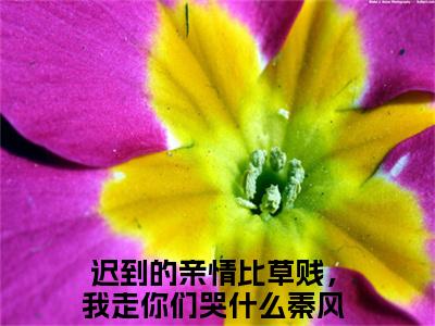 热度超高迟到的亲情比草贱，我走你们哭什么秦风小说-小说完整版全文资源阅读