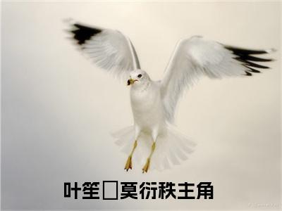 男女主人公叫叶笙氿莫衍秩的小说叶笙氿莫衍秩免费在线