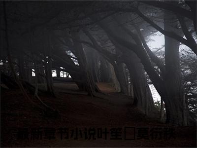 叶笙氿莫衍秩小说全文免费阅读无弹窗-叶笙氿莫衍秩小说全文在线赏析(今日更新最新章节)