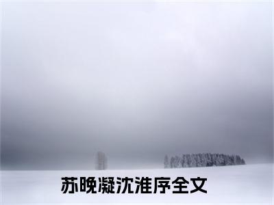 苏晚凝沈淮序（苏晚凝沈淮序）全文免费阅读无弹窗大结局小说-苏晚凝沈淮序最新章节阅读